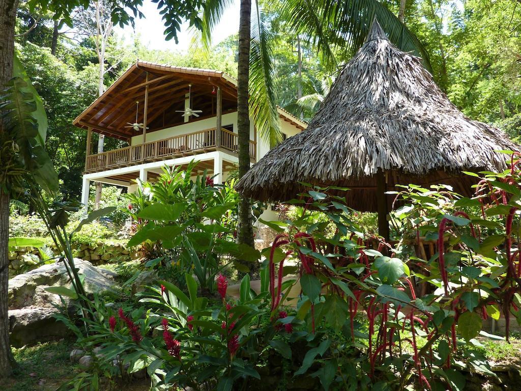 Villas Pico Bonito Ла Сейба Екстериор снимка