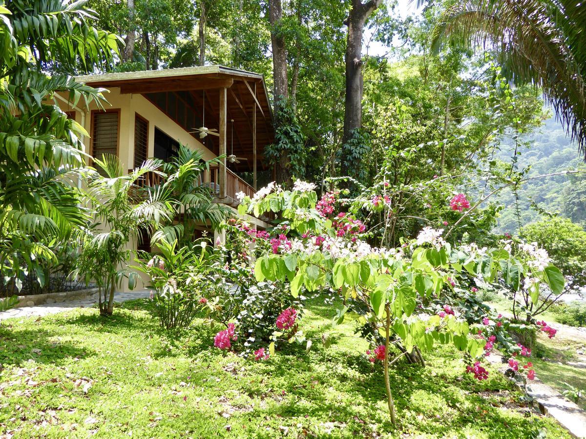 Villas Pico Bonito Ла Сейба Екстериор снимка