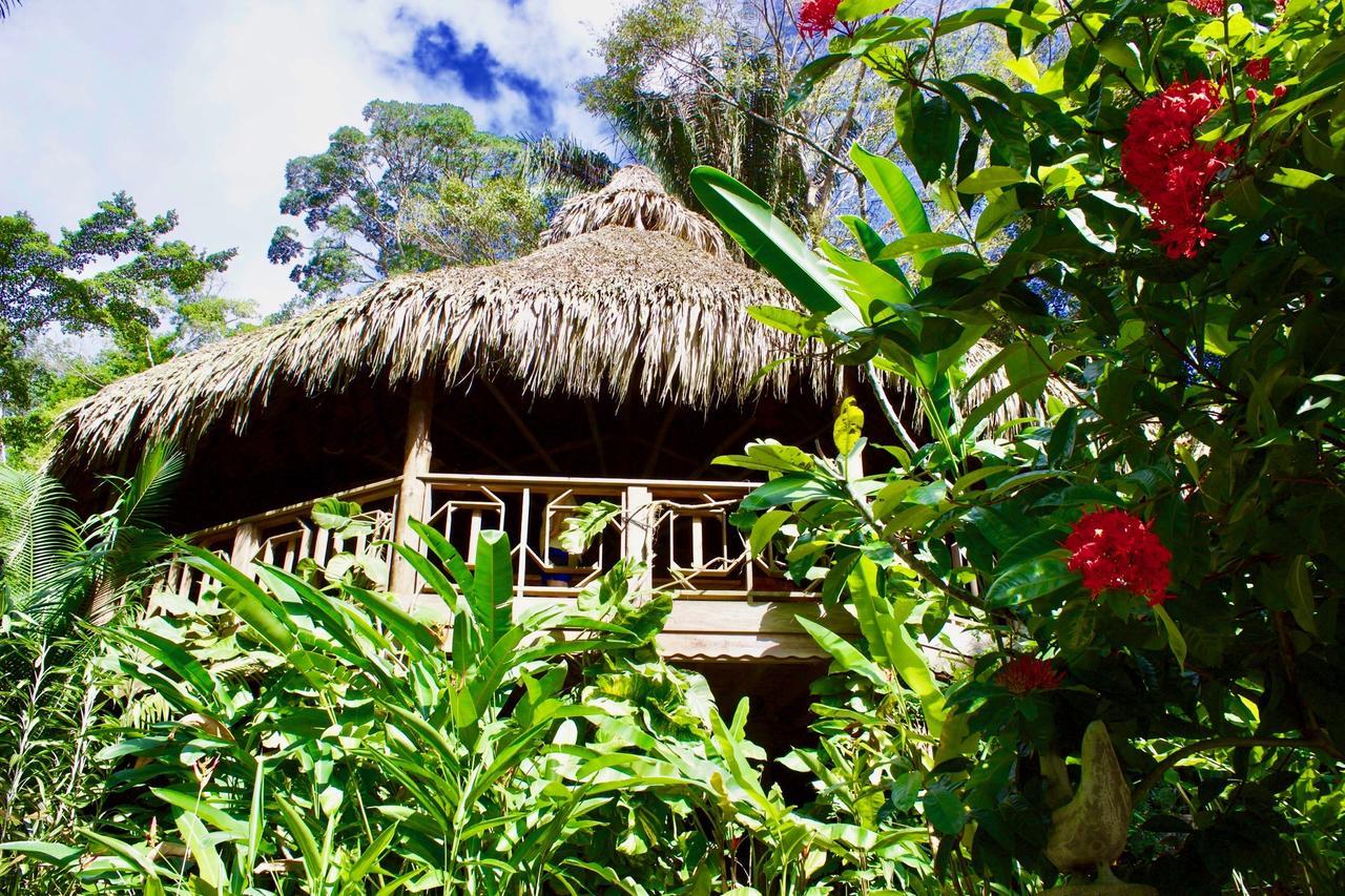 Villas Pico Bonito Ла Сейба Екстериор снимка